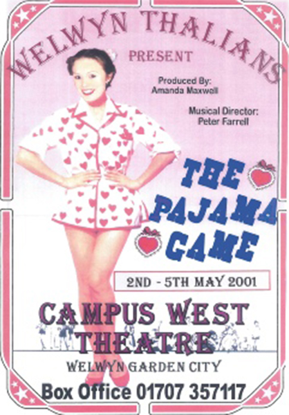 the-pyjama-game-2001